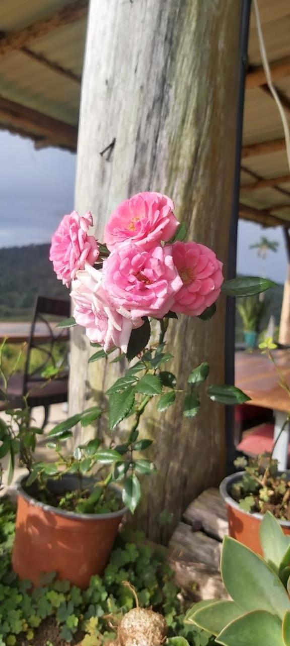 El Rincon De Las Flores Bajo Tigre Exterior photo